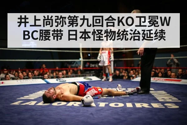 boxing knockout